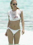 Michelle Hunziker hot